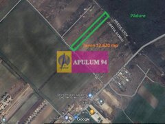 Sabareni, teren 12620 mp pentru case, langa padure