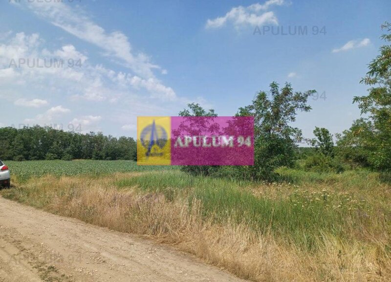 Sabareni, teren 12620 mp pentru case, langa padure