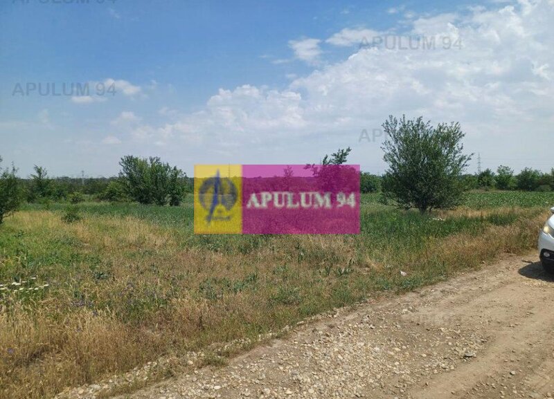 Sabareni, teren 12620 mp pentru case, langa padure